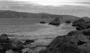nzrocks